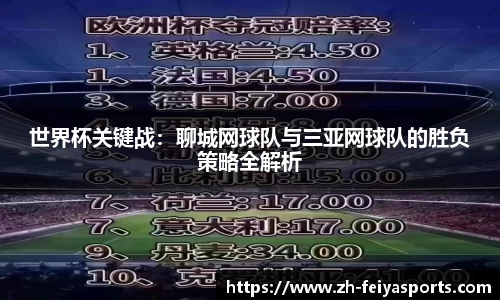 世界杯关键战：聊城网球队与三亚网球队的胜负策略全解析